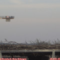 15_45-mast.jpg