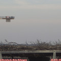 15_50-mast.jpg