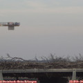 15_55-mast.jpg