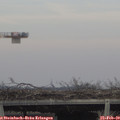 16_00-mast.jpg