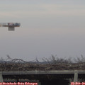 16_05-mast.jpg