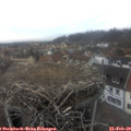 16_05-nest.jpg