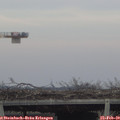 16_10-mast.jpg