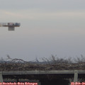 16_15-mast.jpg