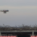 16_20-mast.jpg