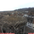 16_35-nest.jpg