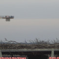 16_40-mast.jpg