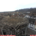 16_40-nest.jpg