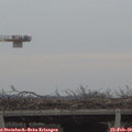 17_10-mast.jpg