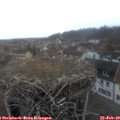 17_10-nest.jpg