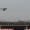 17_20-mast.jpg