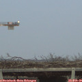 18_04-mast.jpg