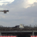 20_57-mast.jpg
