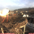07_50-nest.jpg