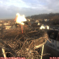 07_55-nest.jpg