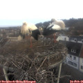08_05-nest.jpg