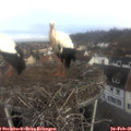 08_25-nest.jpg