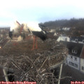 08_35-nest.jpg