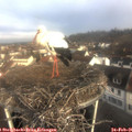 08_40-nest.jpg