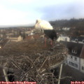 08_45-nest.jpg