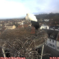 09_00-nest.jpg