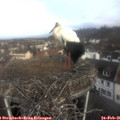 09_05-nest.jpg