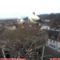 10_25-nest.jpg