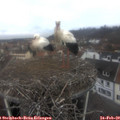 10_35-nest.jpg