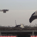 10_45-mast.jpg