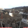 10_45-nest.jpg
