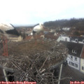 10_50-nest.jpg