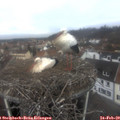 10_55-nest.jpg