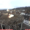 11_05-nest.jpg