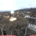 11_10-nest.jpg