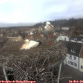 11_15-nest.jpg