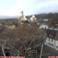 11_20-nest.jpg