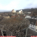 11_25-nest.jpg