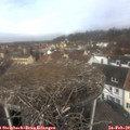 11_30-nest.jpg