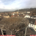 11_35-nest.jpg