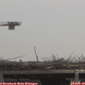 11_40-mast.jpg