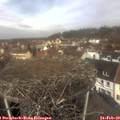 11_40-nest.jpg