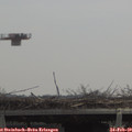 11_45-mast.jpg