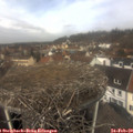 11_45-nest.jpg
