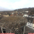 11_50-nest.jpg