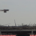 11_55-mast.jpg