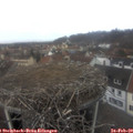 11_55-nest.jpg