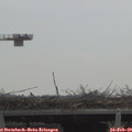 12_00-mast.jpg