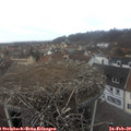12_00-nest.jpg