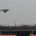 12_05-mast.jpg