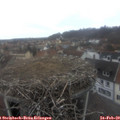 12_05-nest.jpg
